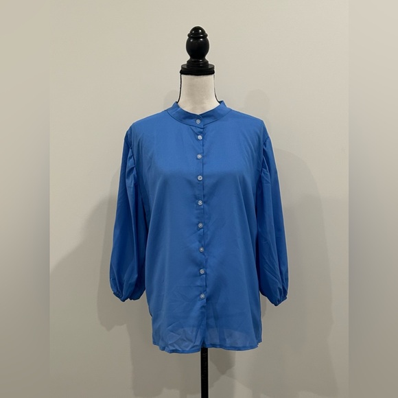 Puff Sleeve Semi Sheer Blouse - Picture 1 of 3